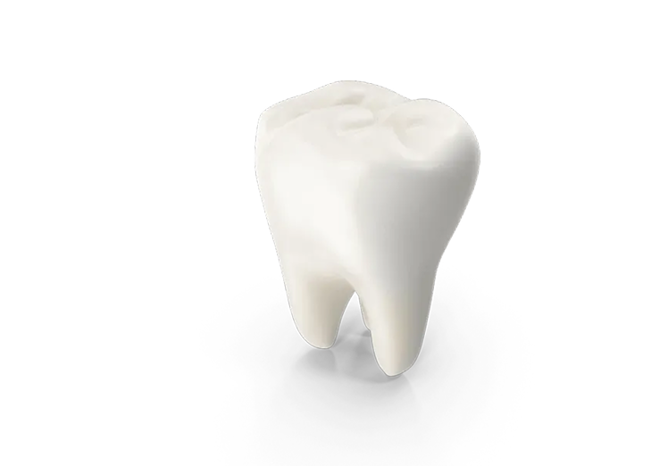 Case study highlight